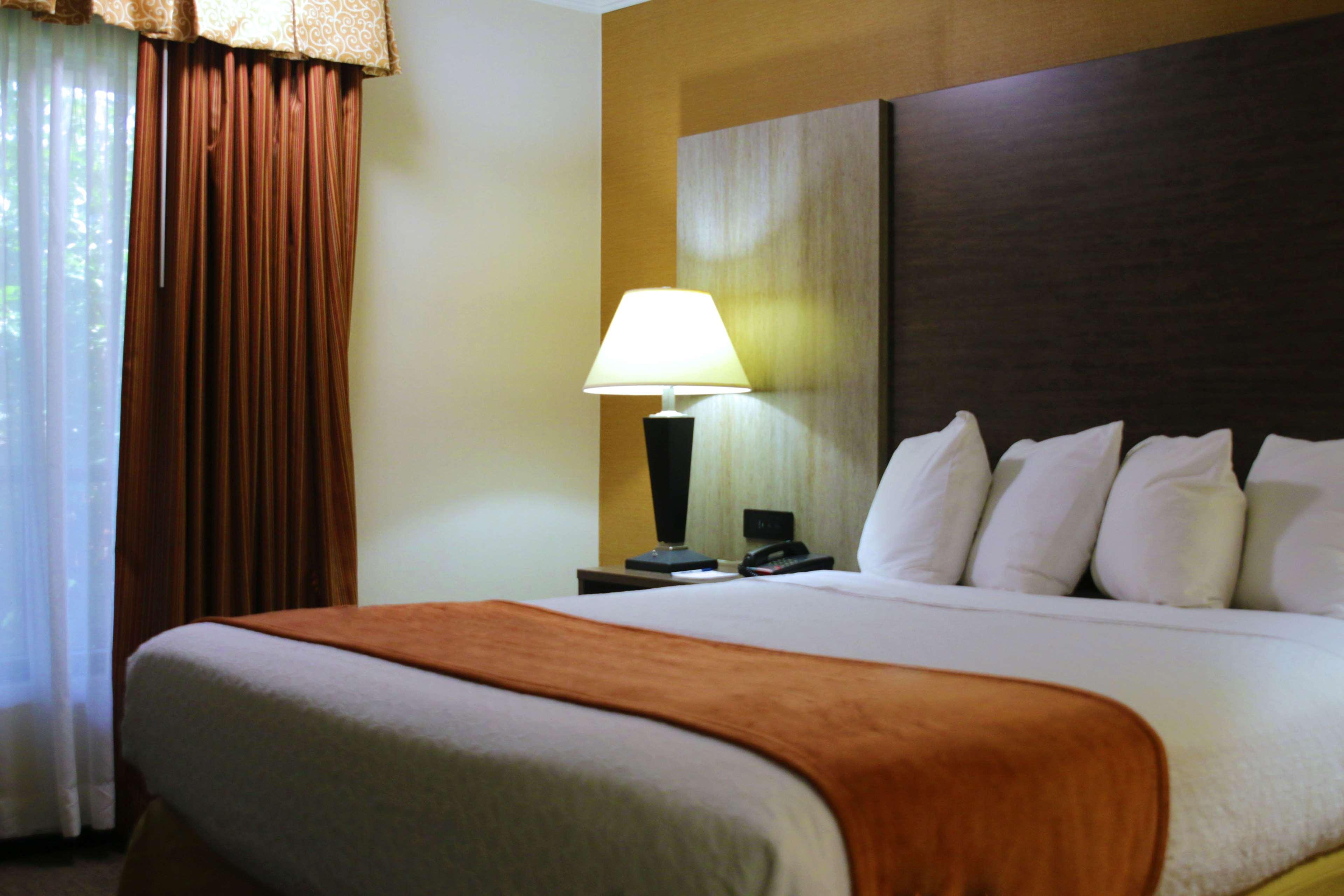 Best Western Galleria Inn & Suites Cheektowaga Ngoại thất bức ảnh